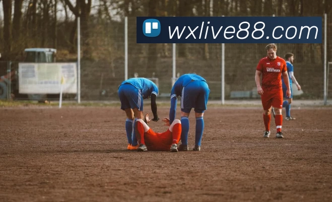 App Interface Preview