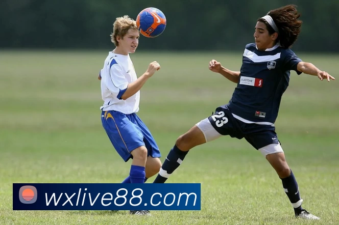 万向娱乐官网APP 封面图