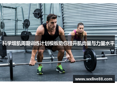 科学增肌周期训练计划模板助你提升肌肉量与力量水平